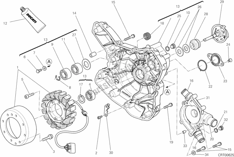 Alle onderdelen voor de Waterpomp-altr-zijde Crnkcse Deksel van de Ducati Diavel Carbon Brasil 1200 2012